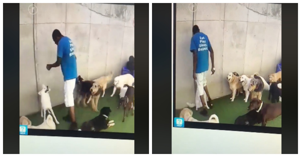 Screen Shots: Facebook/Rachel Mundy