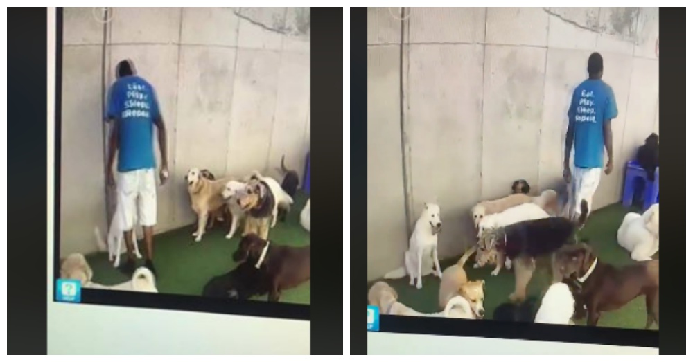 Screen Shots: Facebook/Rachel Mundy
