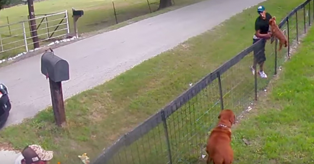 Source: YouTube/ViralHog One of the men pulled up Chipper by the collar.