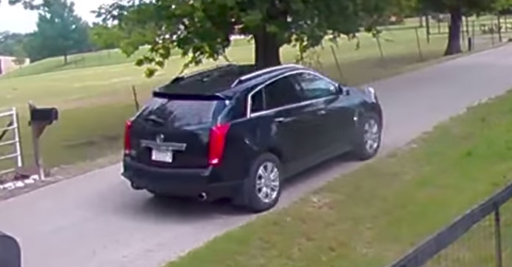 Source: YouTube/ViralHog The men drove off with the 10-week-old dog.