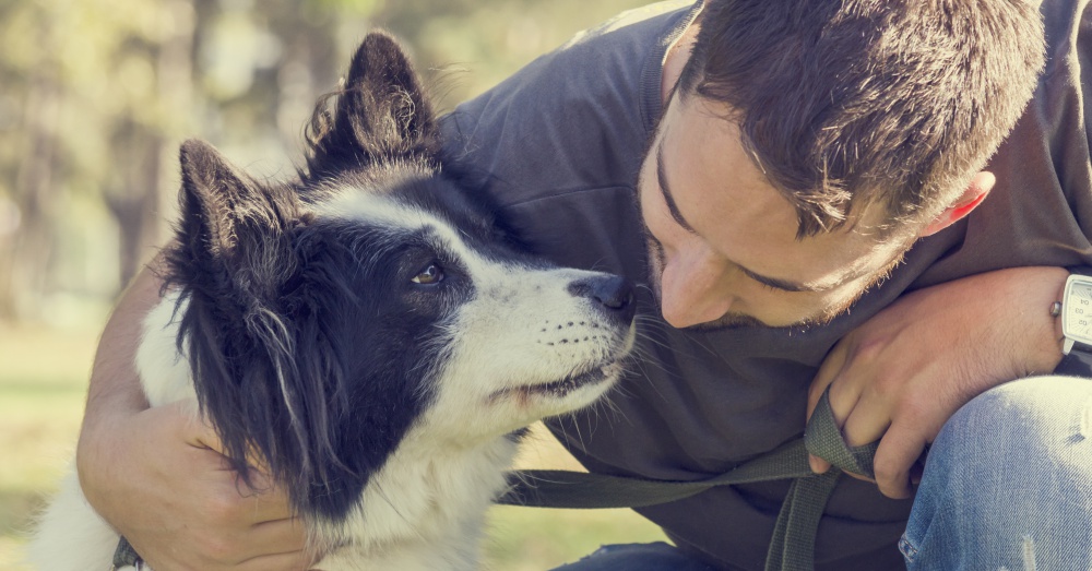 Photo: Adobe Stock/hitdelight