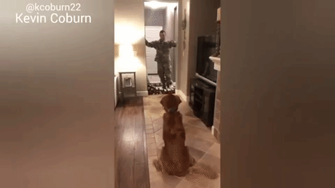 Photo: Giphy