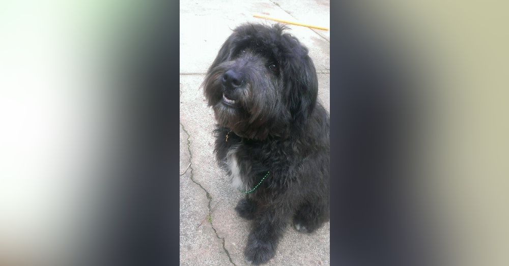 Photo: Facebook/Justice For Meko
