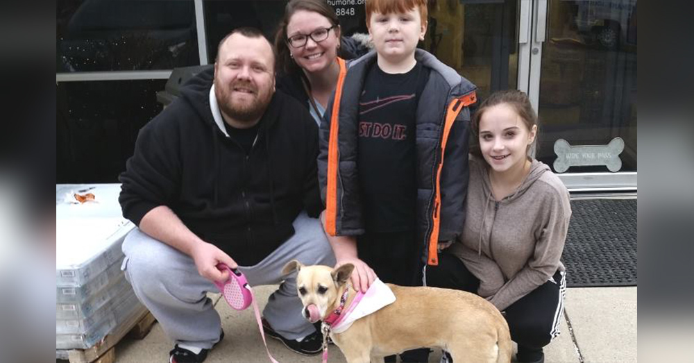 Source: Facebook/Pets for Patriots Joseph and his family found Milan at the Baltimore Humane Society.