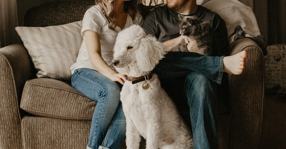 Source: Unsplash There's at least one companion animal for every two Americans.