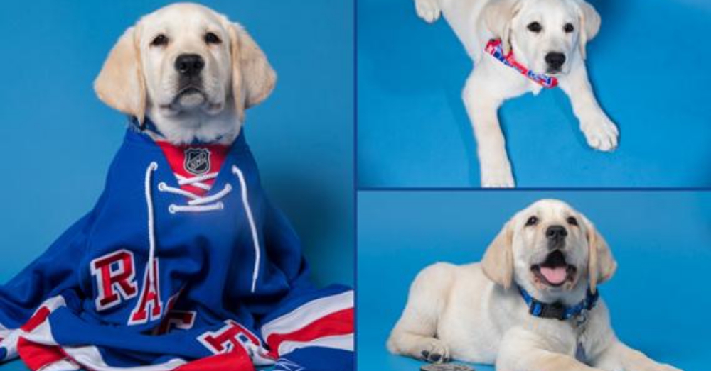 Photo: NHL.com/rangers