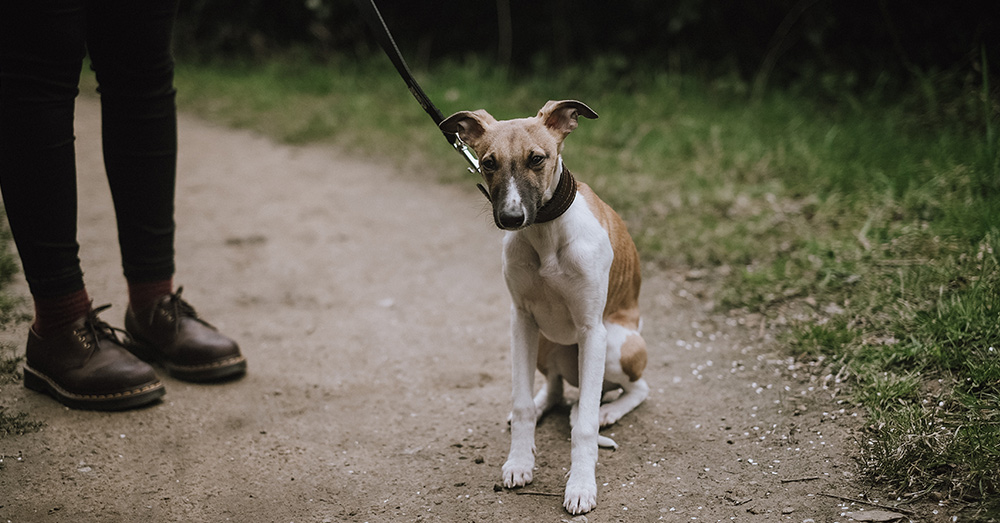 Source: Unsplash Social rting demerits can be issued for cheating on video games, loitering, or smoking where not permitted.
