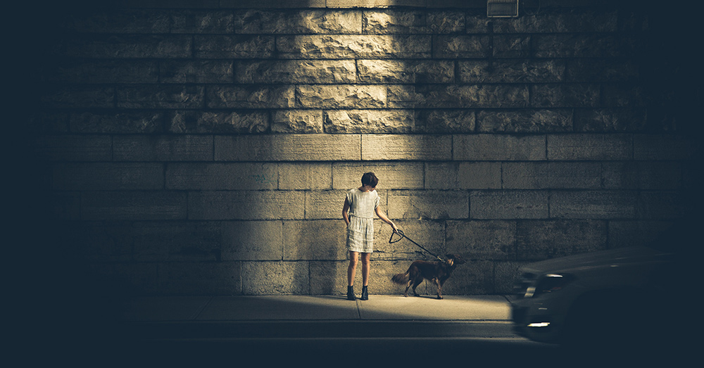 Source: Unsplash Walk your dog off a leash in China and you may see your
