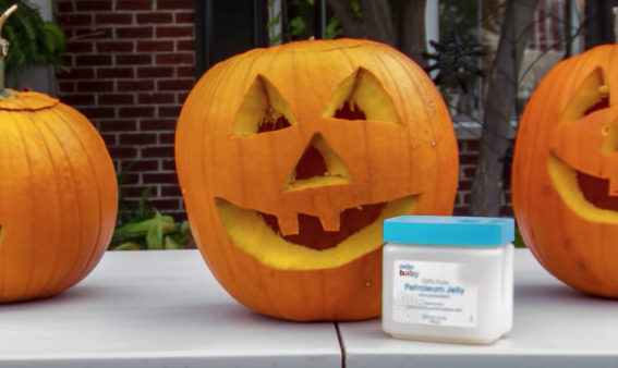 5 Effective Ways To Preserve Jack-O-Lanterns – Live Play Eat