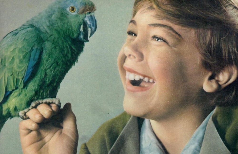 Bobby Driscoll