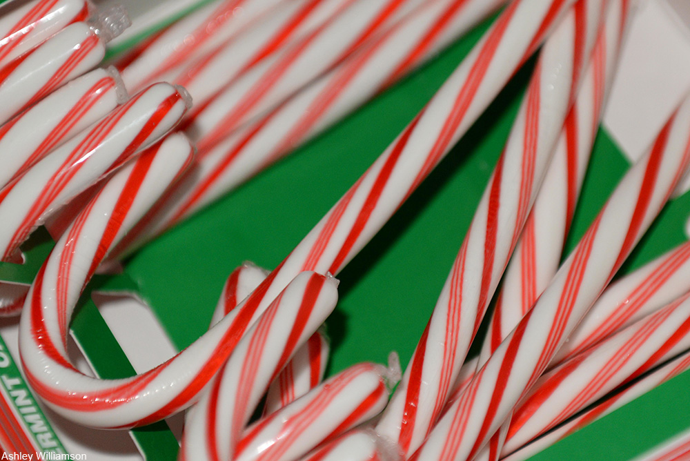 The Confusing History of the Candy Cane Dusty Old Thing