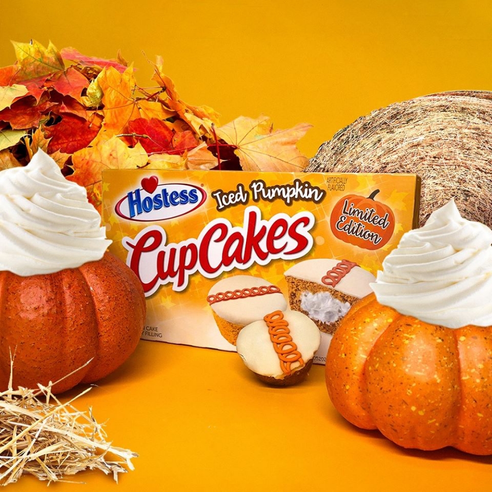 iced pumpkin cupcakes