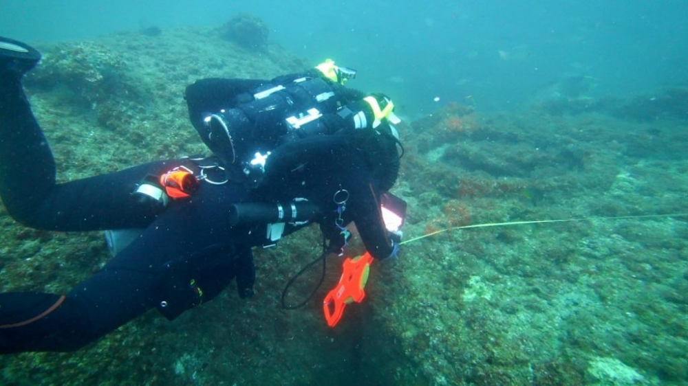 Marine biologist measuring the shipwreck