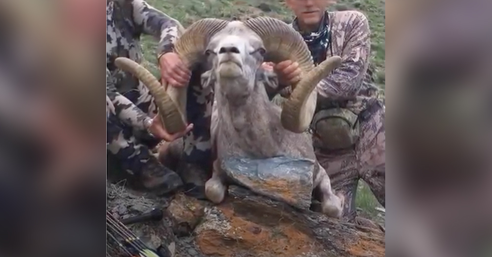 Palmer recently killed a rare argali ram in western Mongolia.