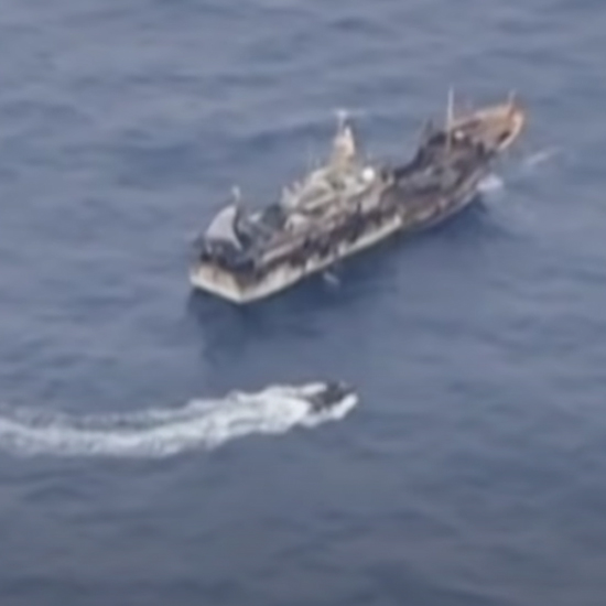 Fishing vessels operate just outside the Economic Exclusive Zone outside the Galápagos Islands.