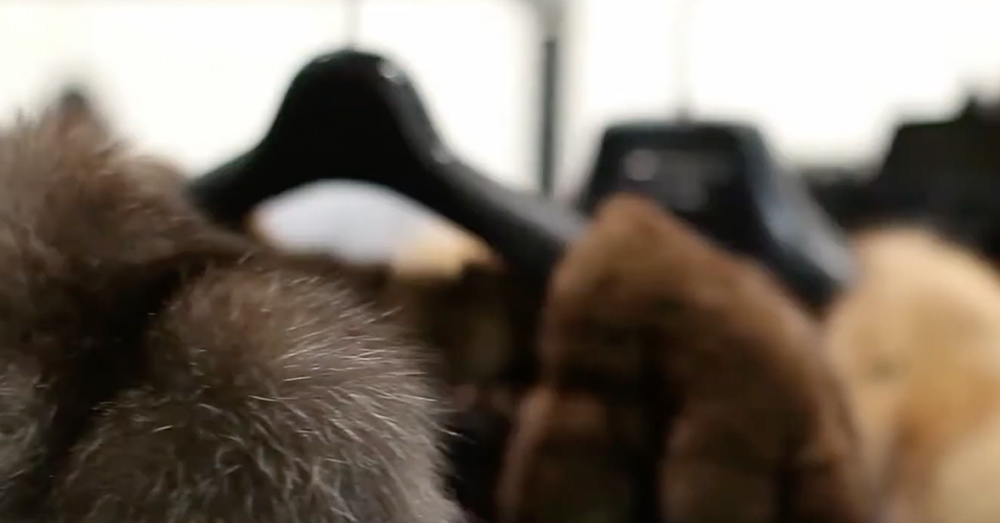 Israel could be the first country in the world to ban fur.