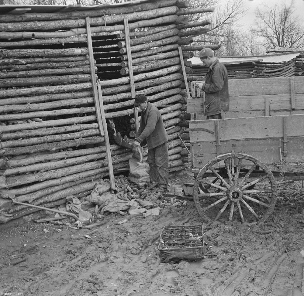 men removing damaged corn from a timber corncrib