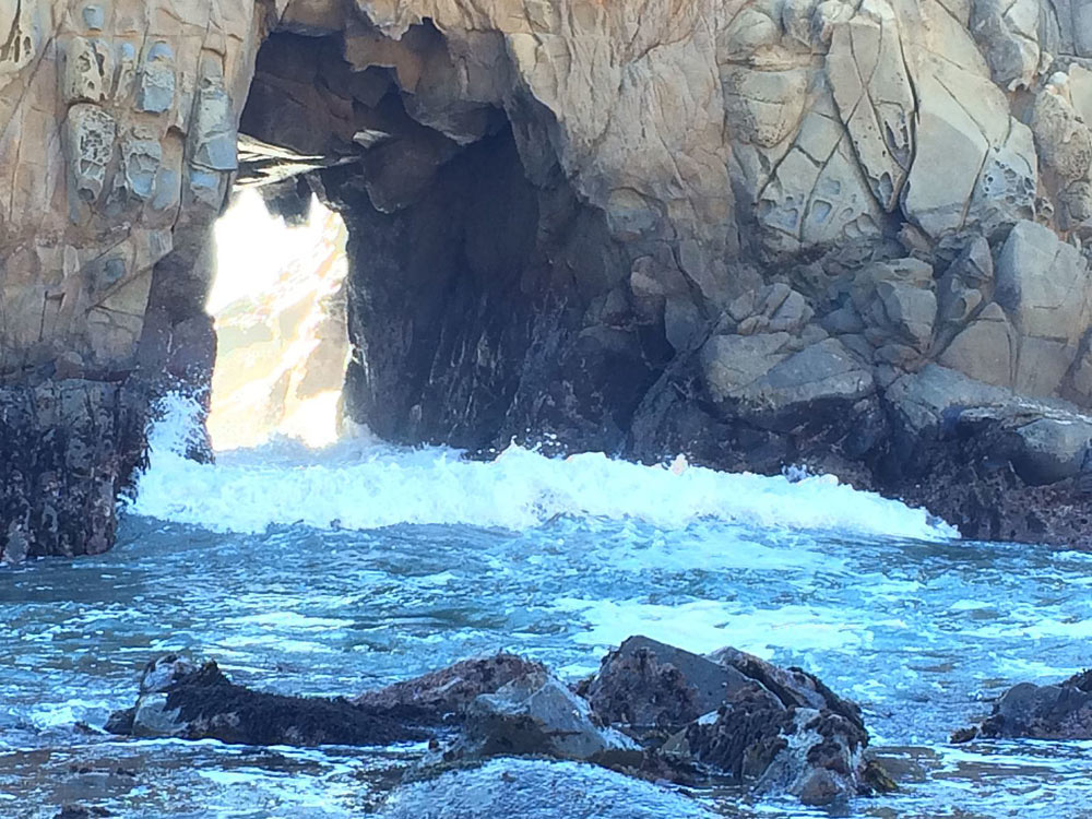 These waters are home to endangered Steelhead salmon, which may have a chance to flourish once again.