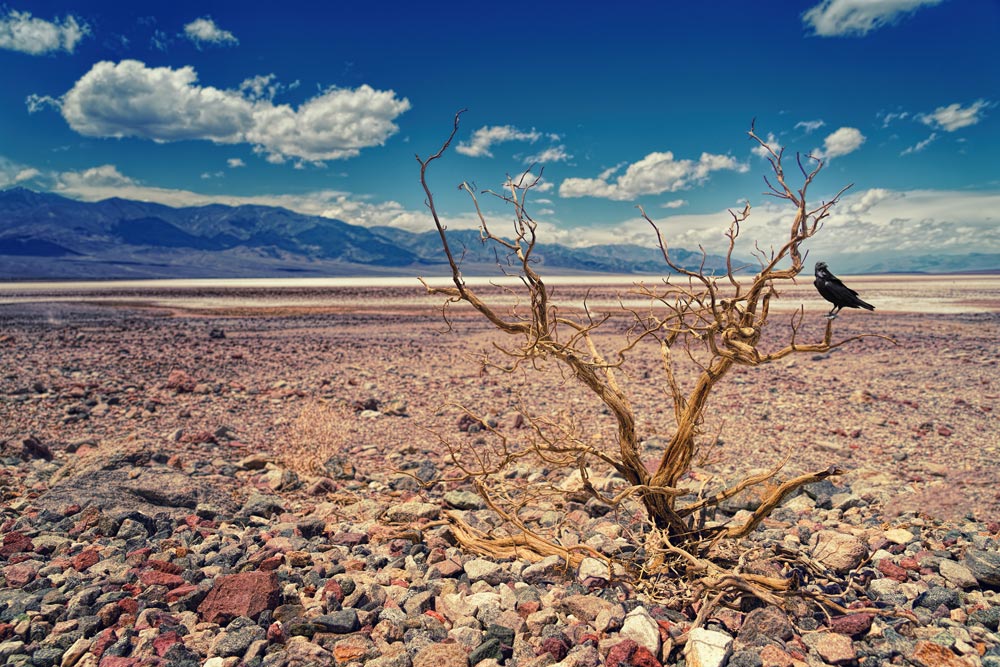 Water scarcity will drive its price up in coming years.