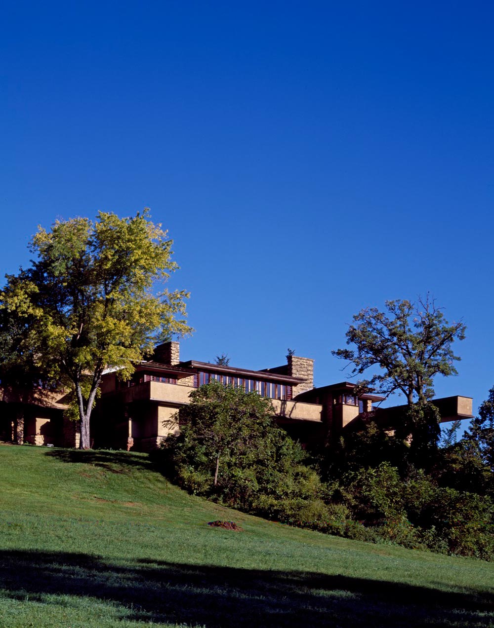 The 20th-Century Architecture of Frank Lloyd Wright was designated a World Heritage Site in 2019.
