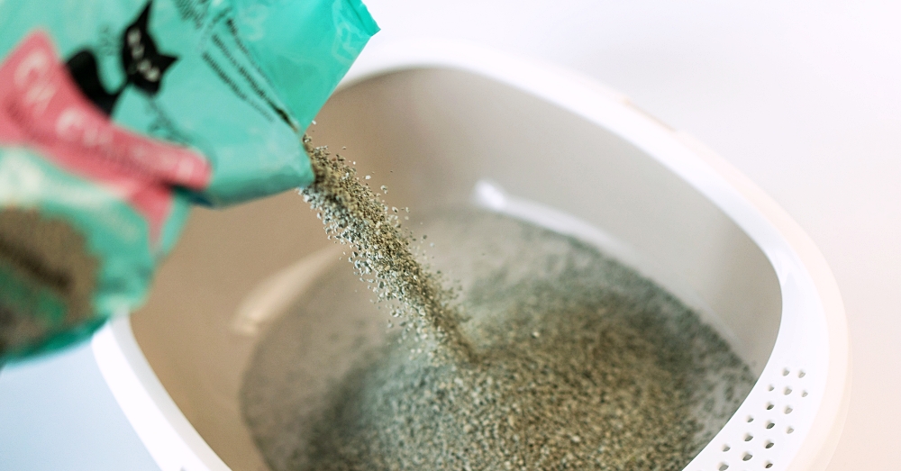 Close-up of a bag of clay cat litter being poured into a plastic cat litter box