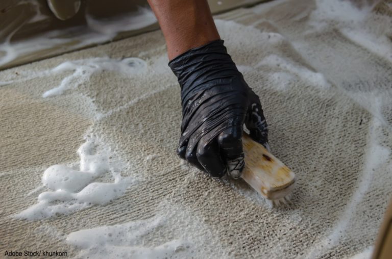 How To Remove Pet Stains And Odors From Carpet The Animal Rescue Site