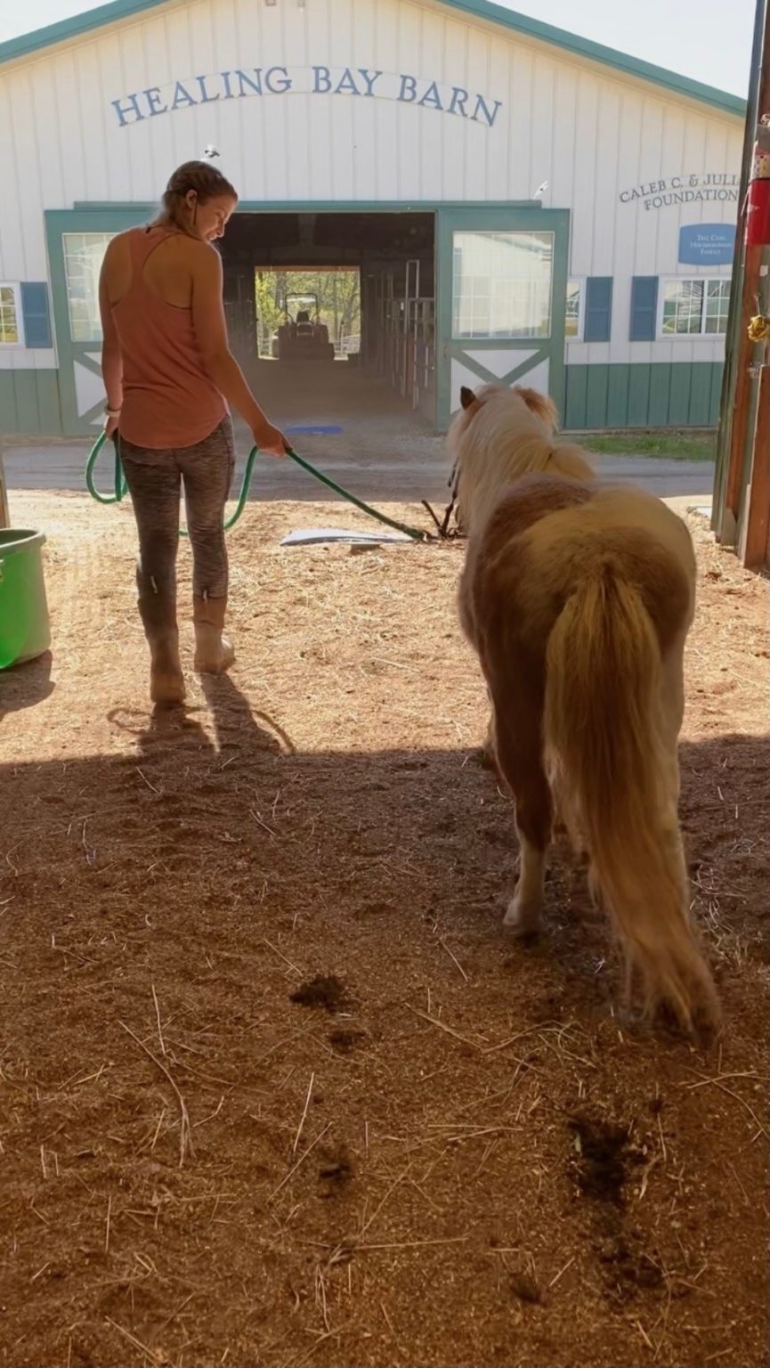Neglected Mini Horse Receives Special Maternity Photoshoot After Rescue