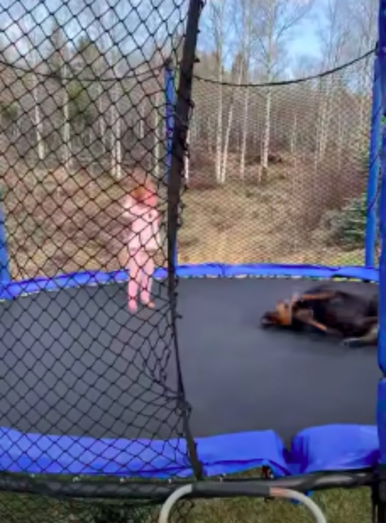 Toddler And Dog Have A Blast Jumping Together On Trampoline OC
