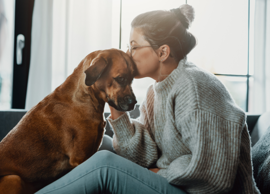 How To Make a Dog Throw Up The Animal Rescue Site News