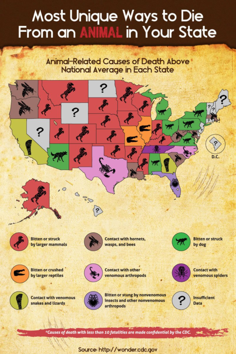 Which State Has The Deadliest Animals?