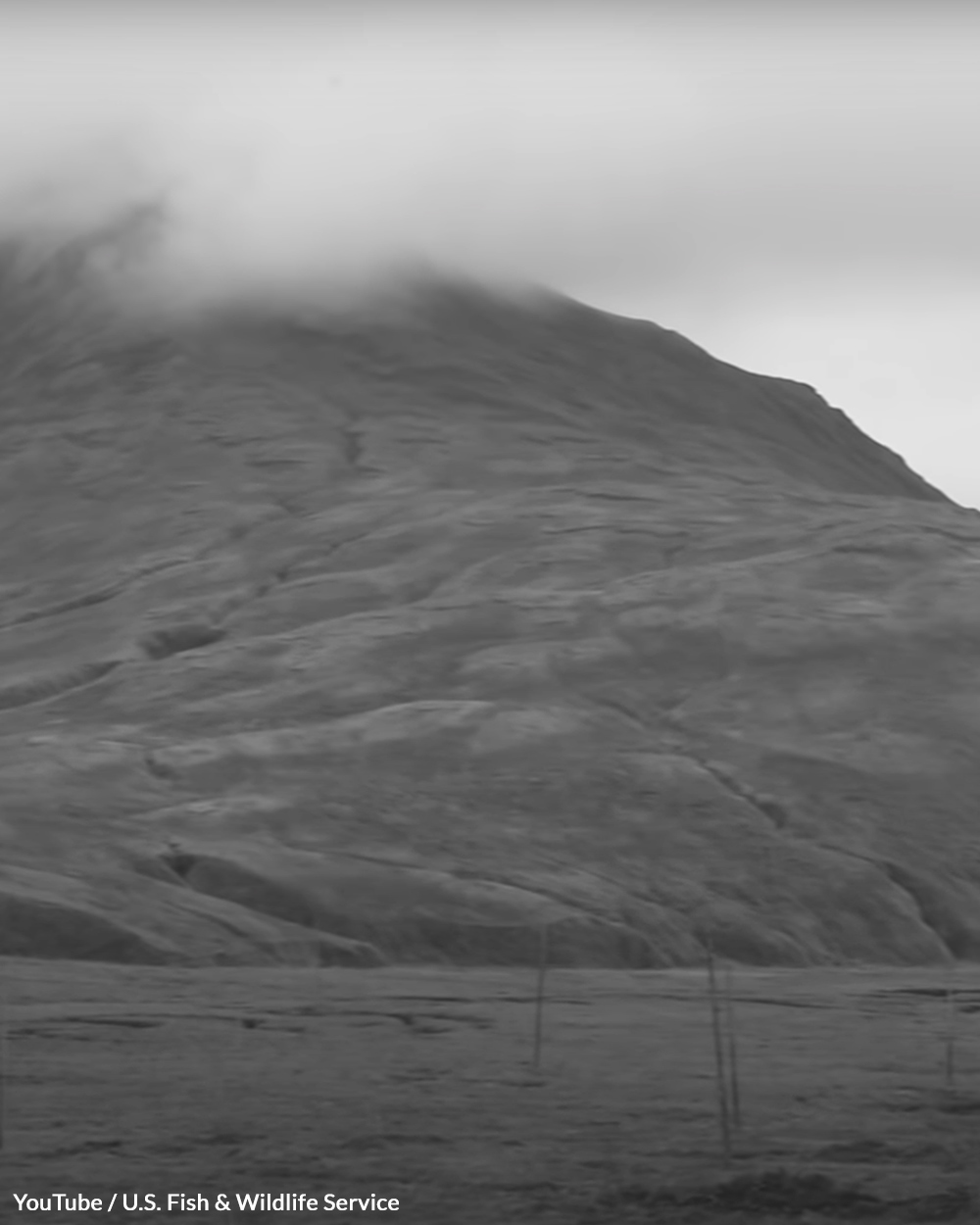 The battle of Attu was fought in a large valley.