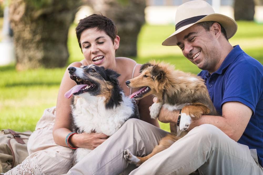 Two dogs outside with their people