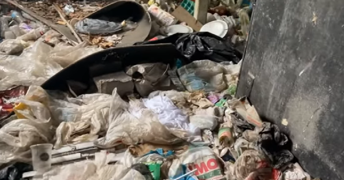 1200x628 template 4 2022 04 21T111223.476 - Rescuers Save Mom And Puppies From Trash-Filled House