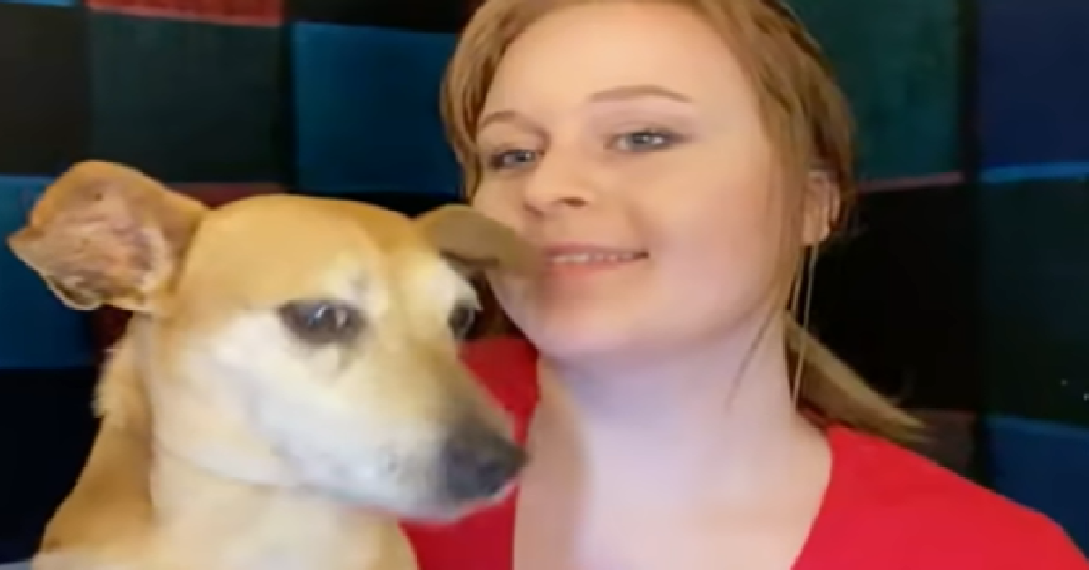 1200x628 template 4 2022 08 31T101549.876 - Teenager Makes A Boat From A Couch Cushion And Saves Her Dog From A Flood