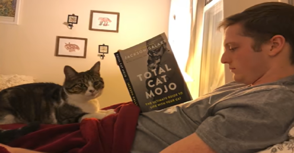 Why Cats Like To Sleep On Their Humans The Animal Rescue Site News