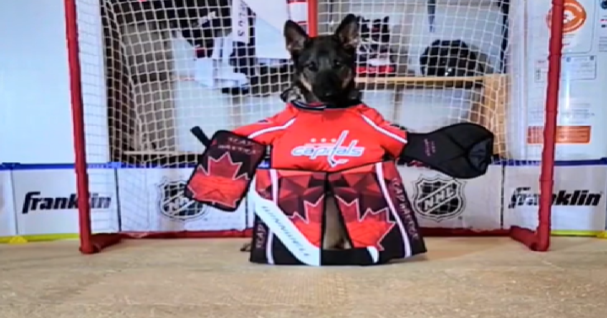 Maggie the Goalie (@maggiethegoalie) • Instagram photos and videos