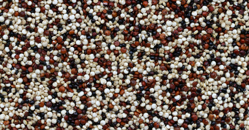 Eating Quinoa Regularly Can Help Stave Off Diabetes GoodNews by