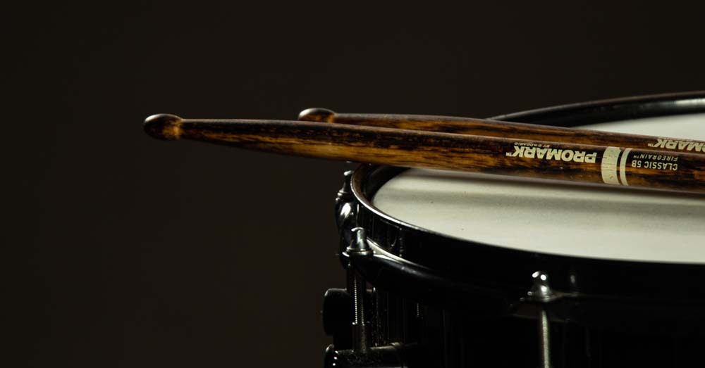 An Elephant Quickly Expressed Its Curiosity to Play Drums with Its