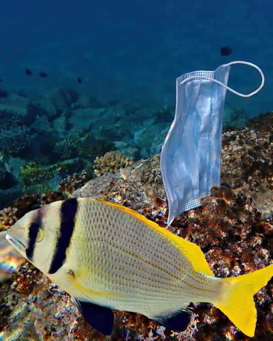 5 Simple Steps to Reduce the Environmental Impact of Disposable Face