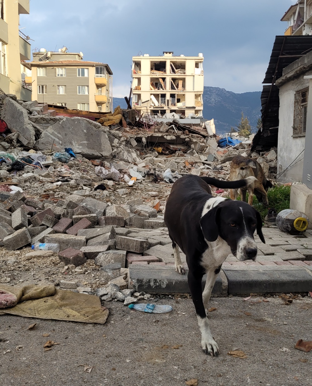Update Here's How Things Look on the Ground in Türkiye in the Weeks Following the Earthquakes