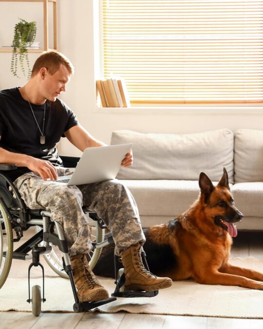 From PTSD to a Better Life The Benefits of Service Dogs for Veterans