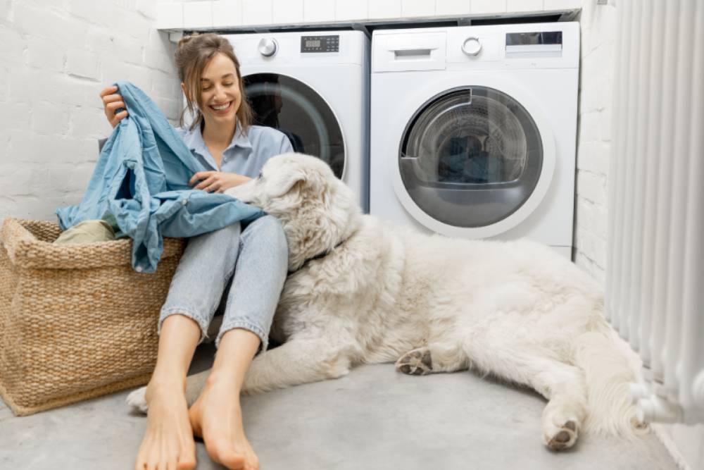 Dog helping human do her laundry