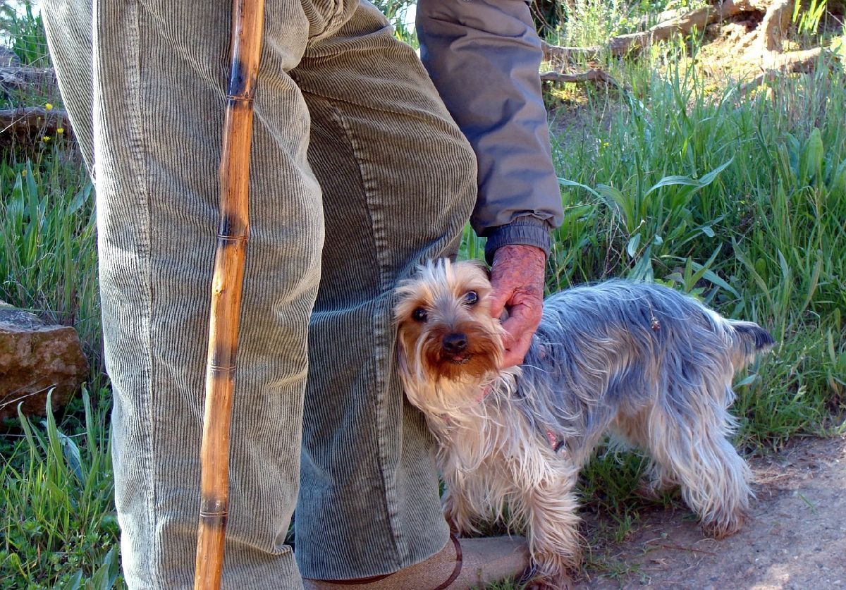 old man and dog