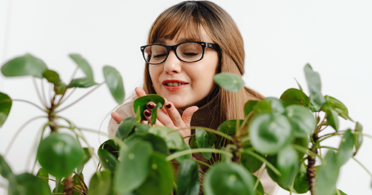 New Study Suggests That Plants Cry When They're Stressed The