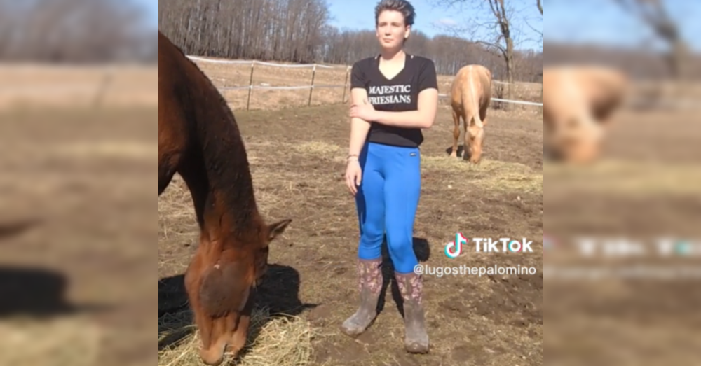 Gentle Rescuer Works With Horse Suffering From "Blanket Trauma" The