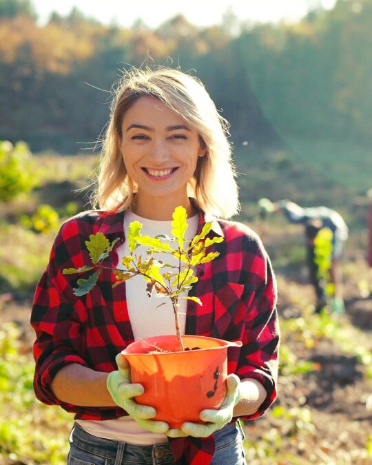 Celebrate Arbor Day A Fun Guide to Planting Trees and Caring for Them