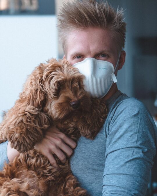 Protect Your Dog from Highly Contagious Dog Flu Health Risks and