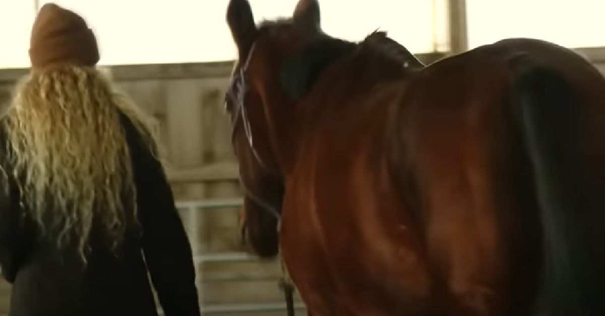 Woman Saves Retired Racehorse From Being Shipped To The Slaughter House