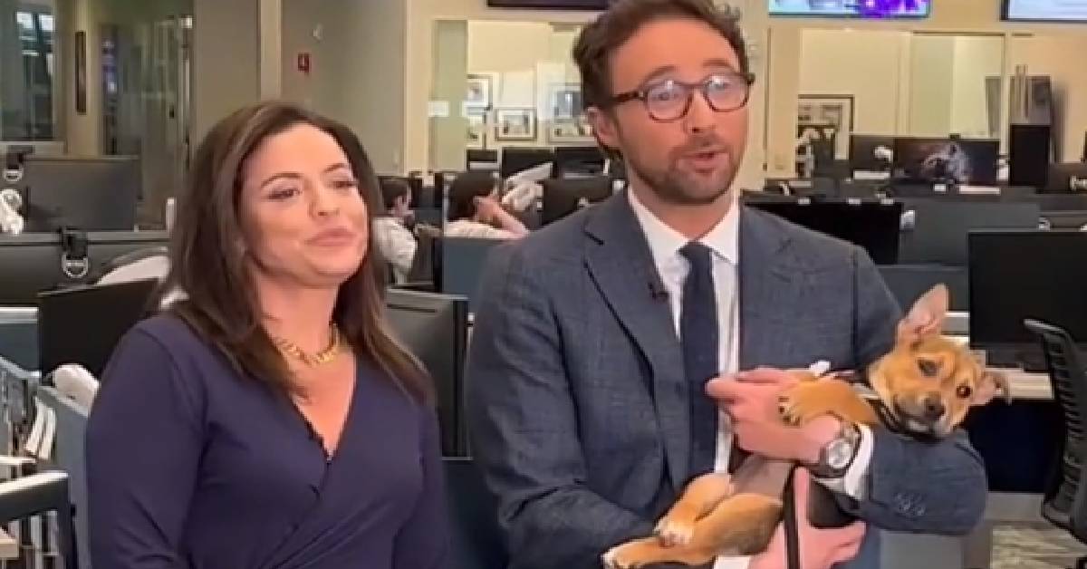 1200x628 template 4 2023 05 19T125436.315 - Tiny Rescue Puppy Steals The Show After Falling Asleep In News Anchor’s Arms On Live Television