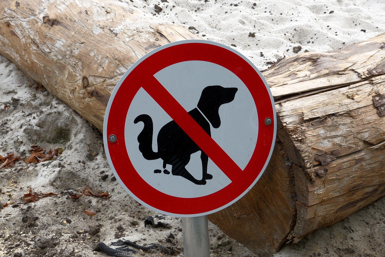 no dog pooping sign